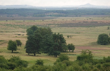 DSC_2803_klein.jpg